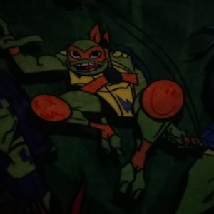 Teenage mutant ninja turtles blanket